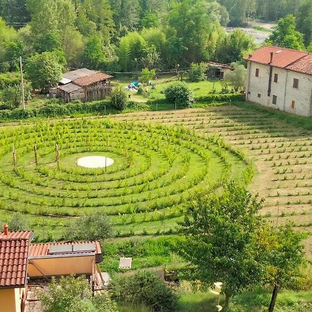 Agriturismo Il Poderetto 리치아나 나르디 외부 사진