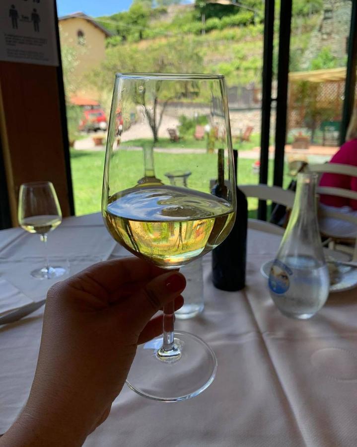 Agriturismo Il Poderetto 리치아나 나르디 외부 사진