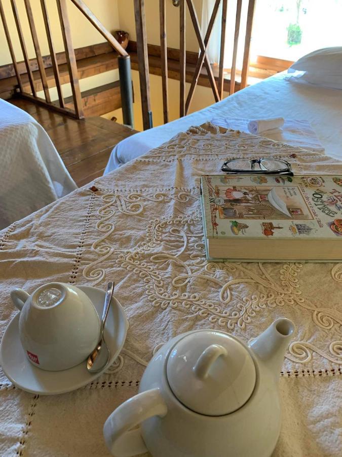 Agriturismo Il Poderetto 리치아나 나르디 외부 사진