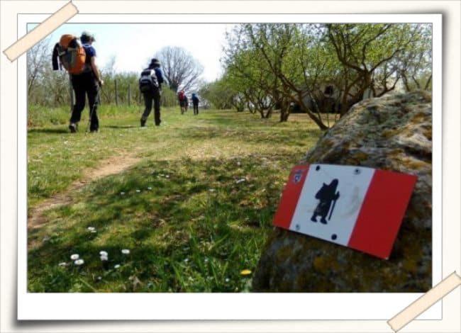 Agriturismo Il Poderetto 리치아나 나르디 외부 사진