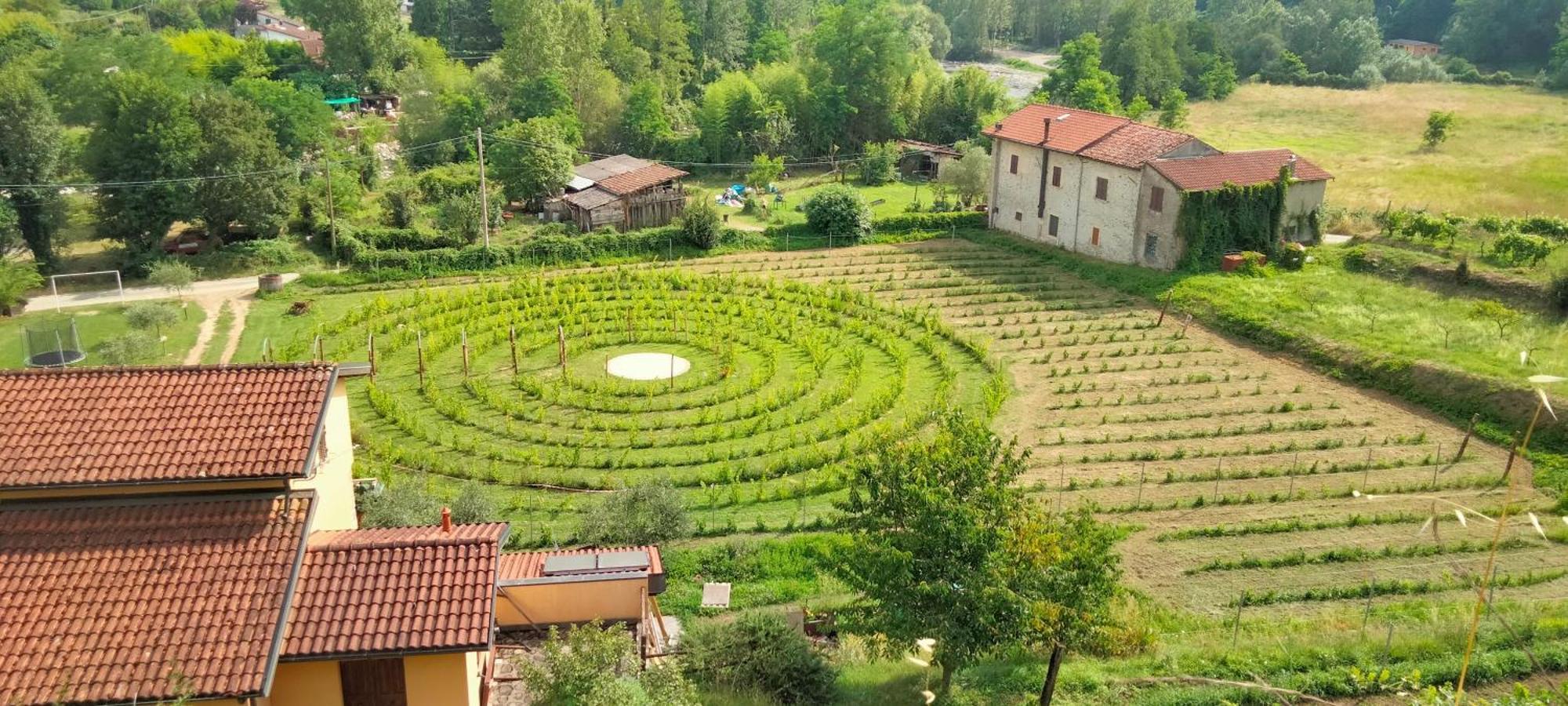 Agriturismo Il Poderetto 리치아나 나르디 외부 사진