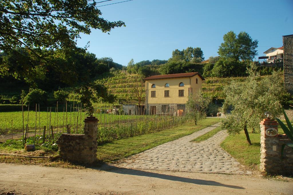 Agriturismo Il Poderetto 리치아나 나르디 외부 사진