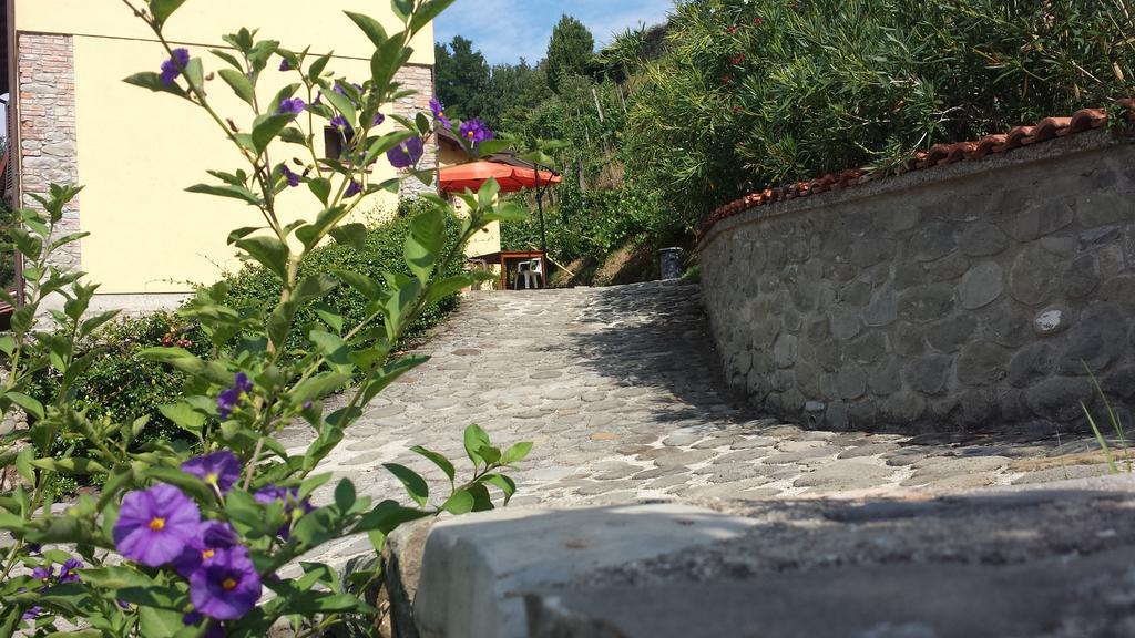 Agriturismo Il Poderetto 리치아나 나르디 외부 사진